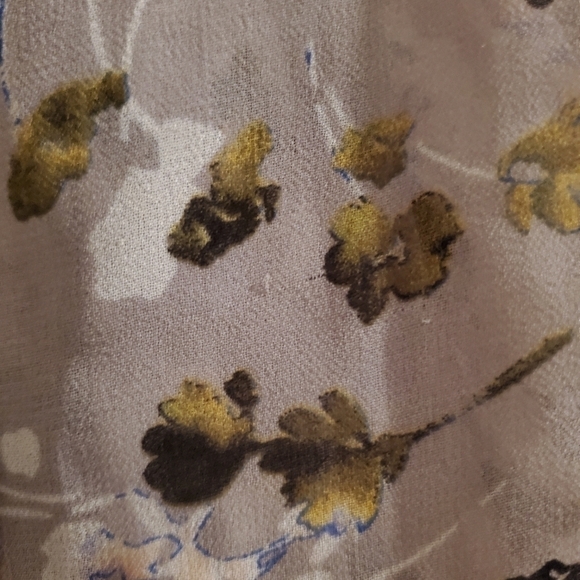 CABI 5204 Matinee Sheer Button Down Blouse S - Picture 7 of 8